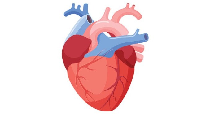 Berbahayakah Operasi Penyakit Jantung Bawaan Pada Anak?